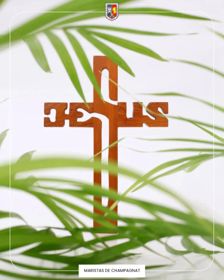 Instagram post from champagnatccs. This post is in position 1.