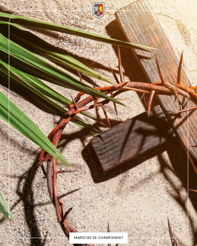 Instagram post from champagnatccs. This post is in position 0.