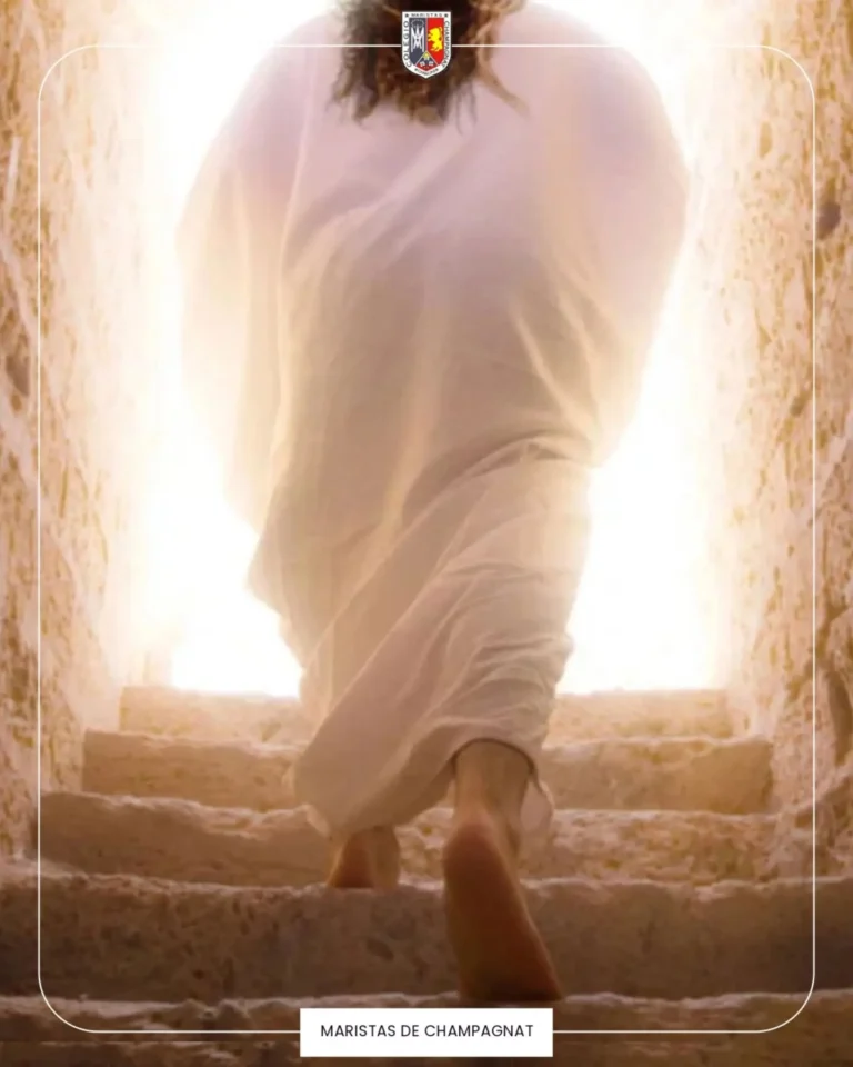 Instagram post from champagnatccs. This post is in position 0.